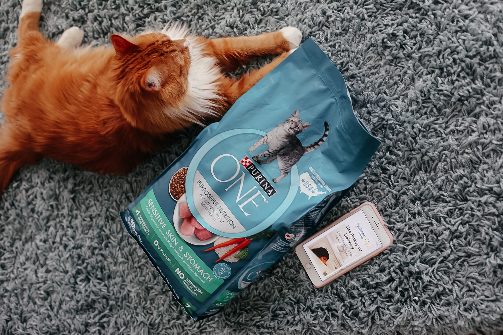 5 Tips for Raising a Healthy and Happy Cat | Purina ONE® 28 Day Challenge. My lovable Simba ate Purina ONE® Sensitive Skin & Stomach Cat Food from Walmart for 28 days in a row as part of the challenge. | Affordable by Amanda 