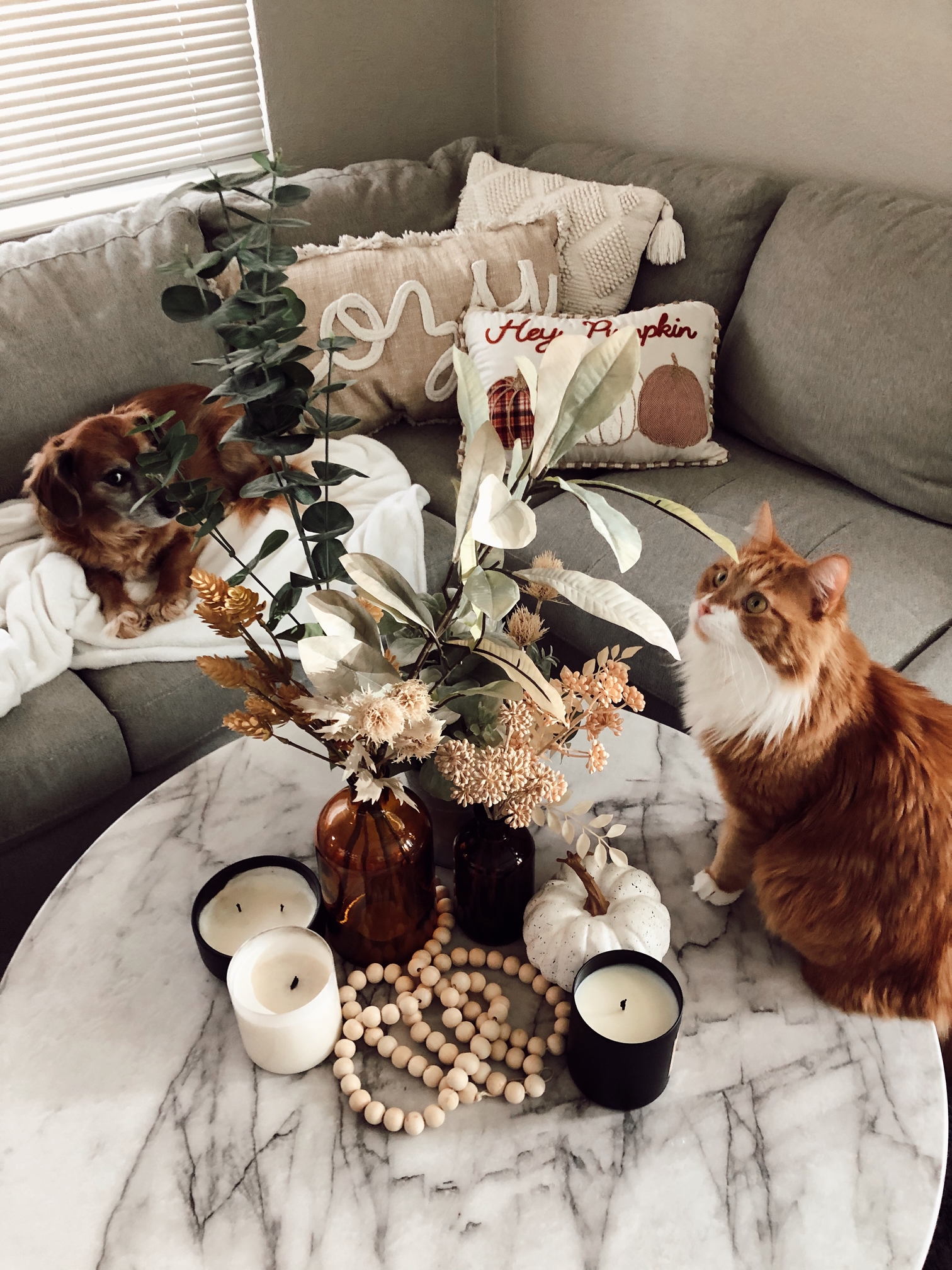 Faux Rust Aspen Leaves Arrangement - Hearth & Hand™ with Magnolia. Affordable Fall Decor. Affordable by Amanda. 