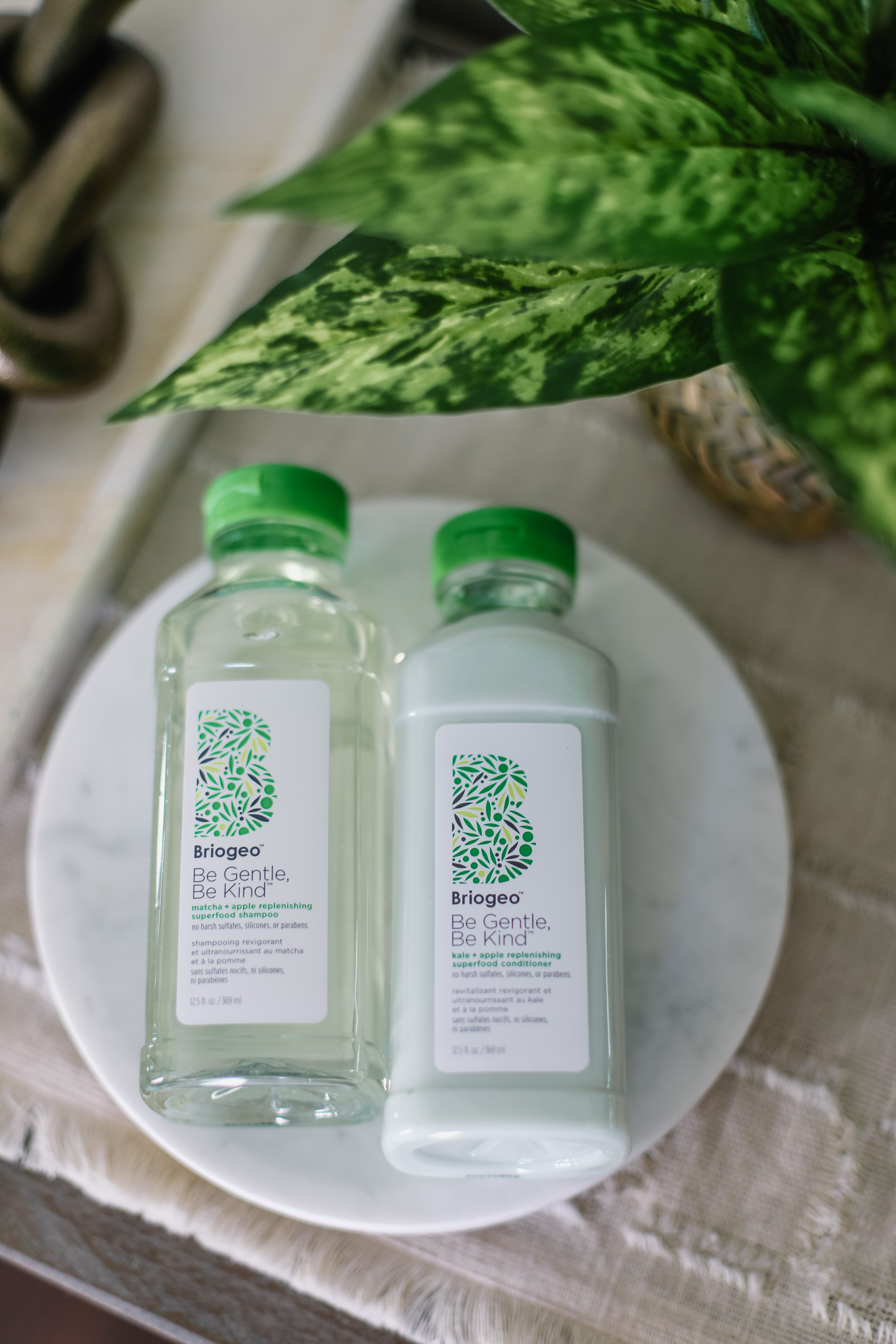 Briogeo Shampoo and Conditioner Reviews | Be Gentle, Be Kind Matcha + Apple Replenishing Shampoo | Affordable by Amanda