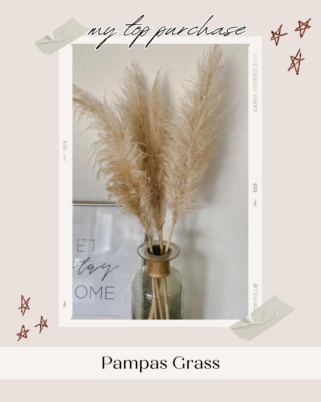 Pampas Grass - Home Decor - Affordable by Amanda Top 20 Purchases of 2020